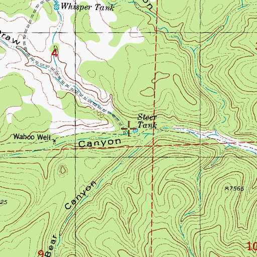 Topographic Map of Steer Tank, NM