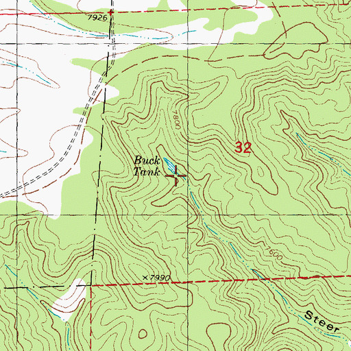 Topographic Map of Steer Draw, NM