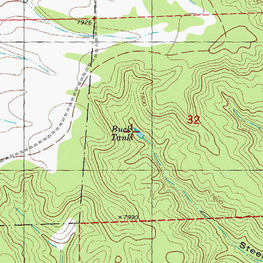 Topographic Map of Buck Tank, NM