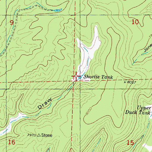 Topographic Map of Shortie Tank, NM