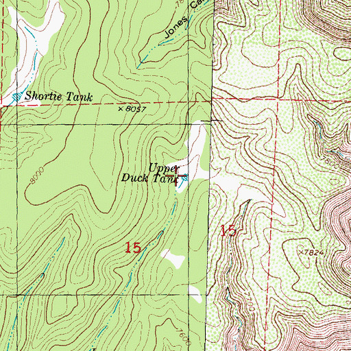 Topographic Map of Upper Duck Tank, NM