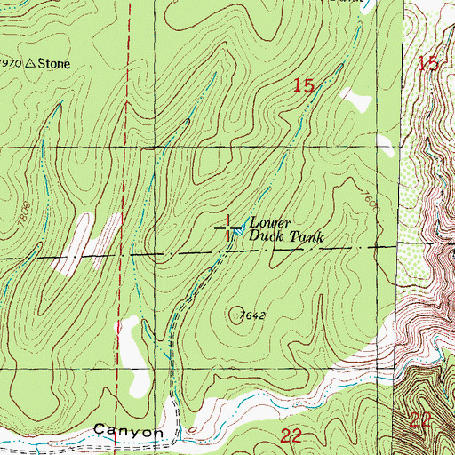 Topographic Map of Lower Duck Tank, NM