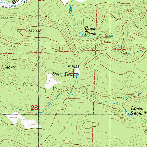 Topographic Map of Deer Tank, NM