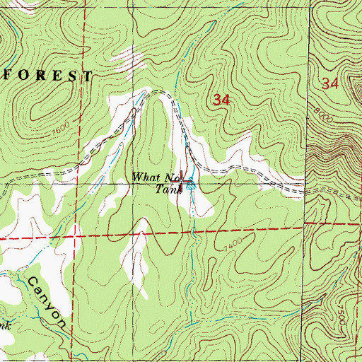 Topographic Map of What Not Tank, NM