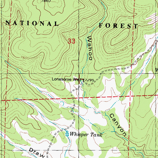 Topographic Map of Lonesome Well, NM