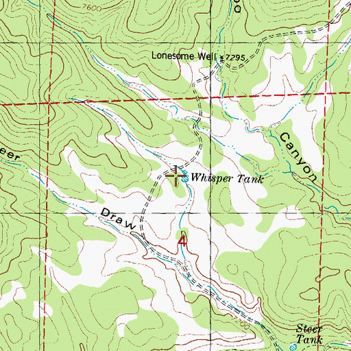 Topographic Map of Whisper Tank, NM