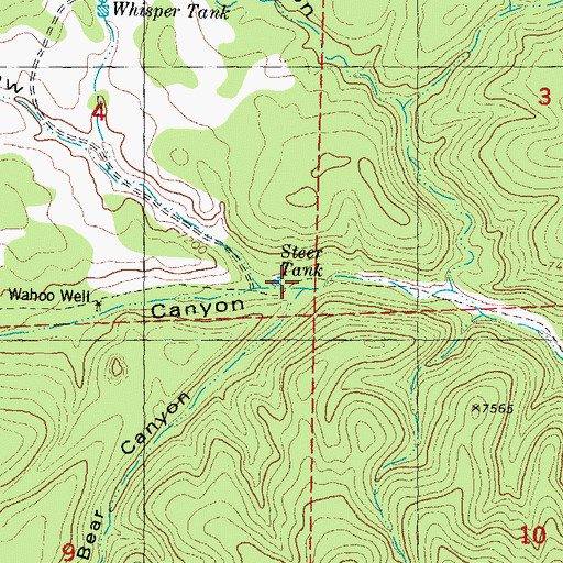 Topographic Map of Bear Canyon, NM