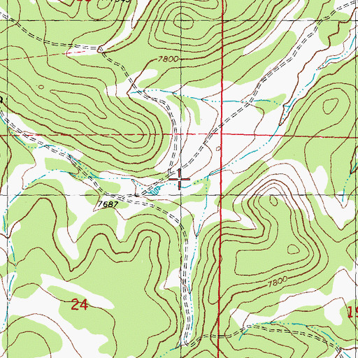 Topographic Map of Patrocino Canyon, NM