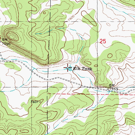 Topographic Map of Elk Tank, NM
