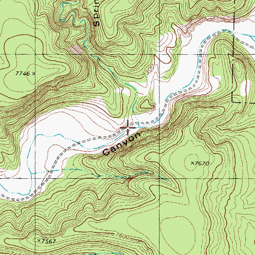 Topographic Map of Springtime Canyon, NM