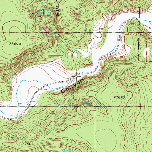 Topographic Map of Springtime Canyon, NM