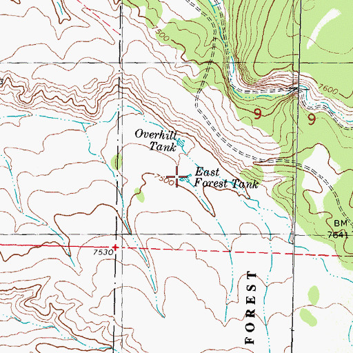 Topographic Map of East Forest Tank, NM