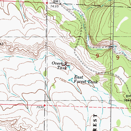 Topographic Map of Overhill Tank, NM