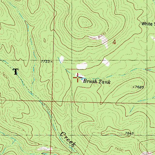 Topographic Map of Brush Tank, NM