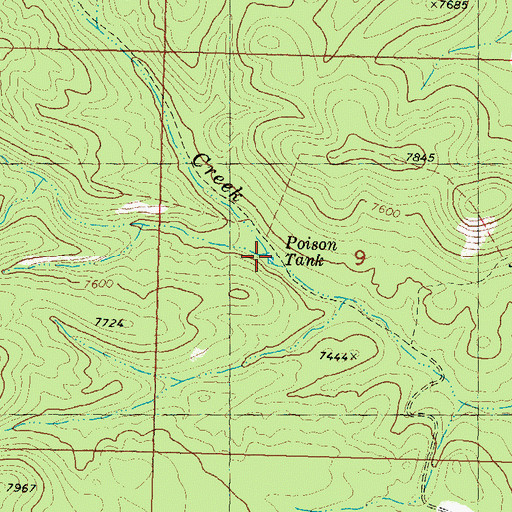 Topographic Map of Poison Tank, NM