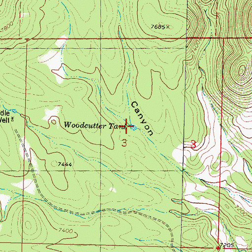 Topographic Map of Woodcutter Tank, NM