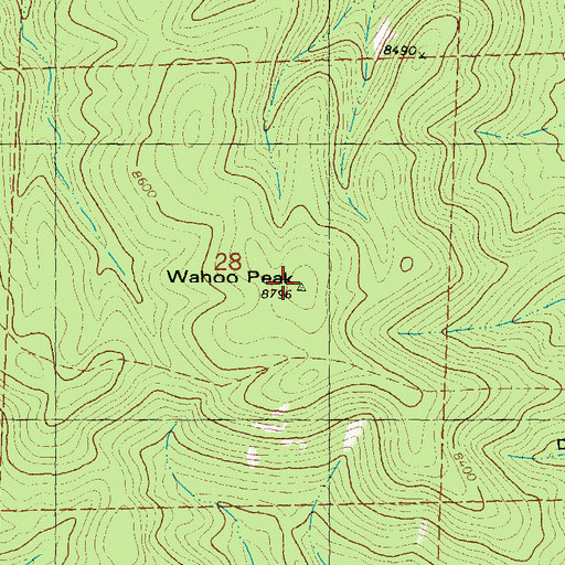 Topographic Map of Wahoo Peak, NM