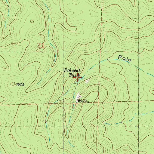 Topographic Map of Polecat Tank, NM