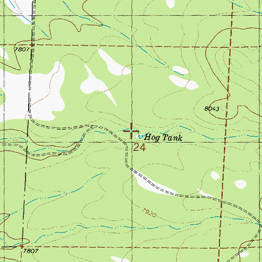 Topographic Map of Hog Tank, NM