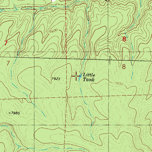 Topographic Map of Little Tank, NM