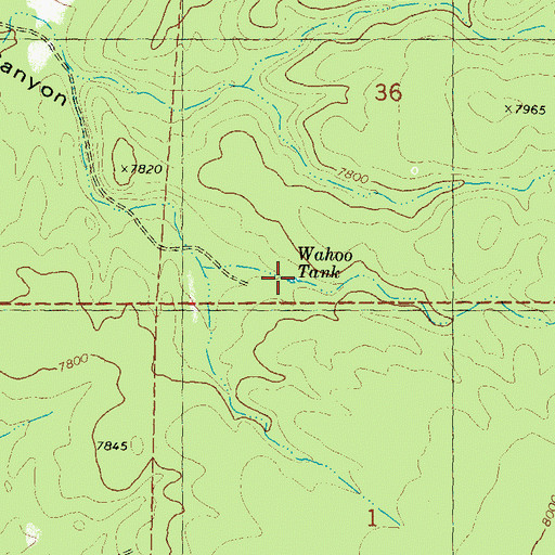 Topographic Map of Wahoo Tank, NM