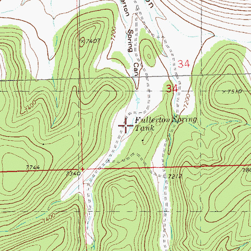 Topographic Map of Fullerton Spring Tank, NM