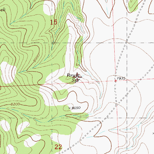 Topographic Map of Bruja Spring, NM