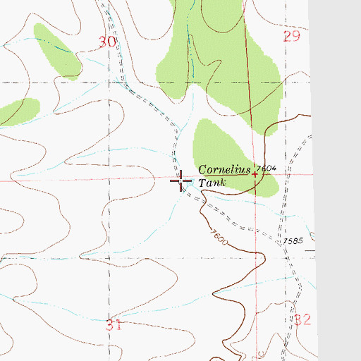Topographic Map of Cornelius Tank, NM