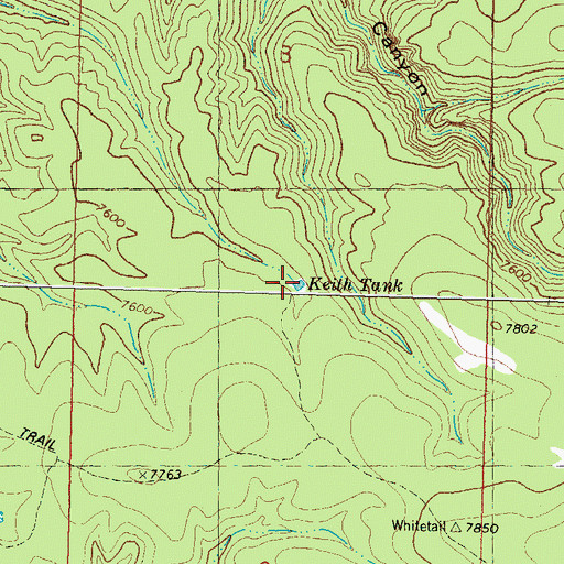 Topographic Map of Keith Tank, NM