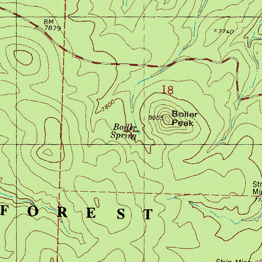 Topographic Map of Boiler Spring, NM