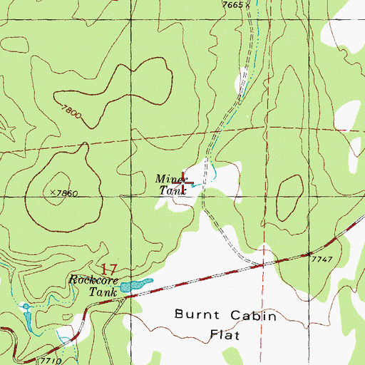 Topographic Map of Miner Tank, NM