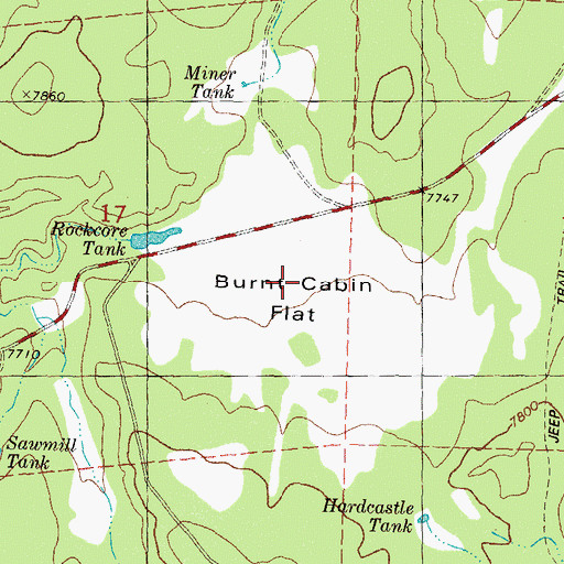 Topographic Map of Burnt Cabin Flat, NM