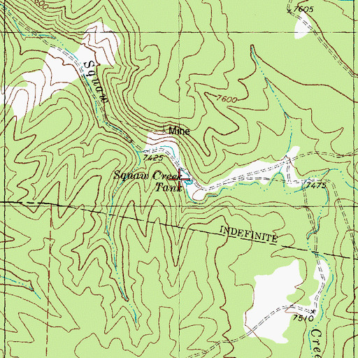 Topographic Map of Squaw Creek Tank, NM