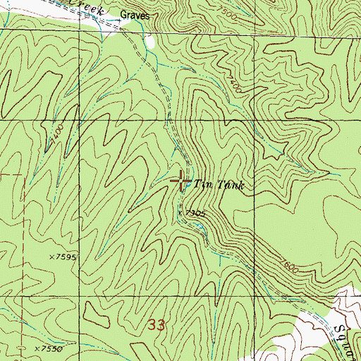 Topographic Map of Tin Tank, NM