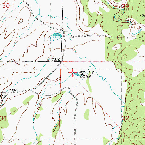 Topographic Map of Spring Tank, NM