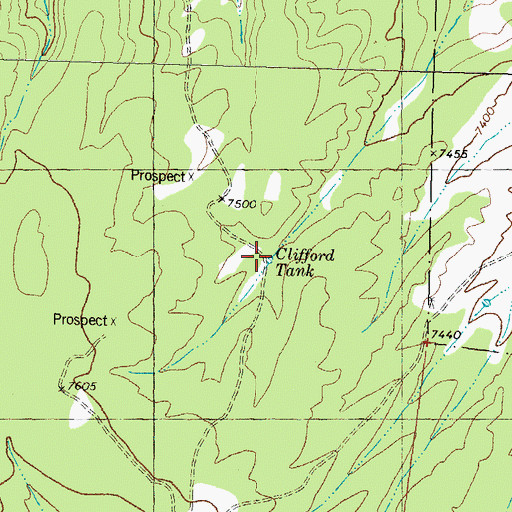 Topographic Map of Clifford Tank, NM