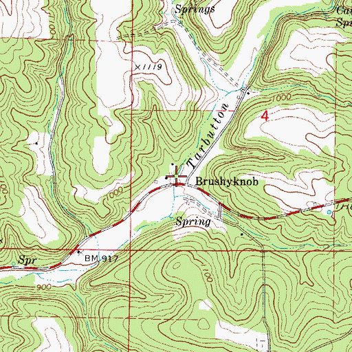 Topographic Map of Brushyknob Post Office (historical), MO