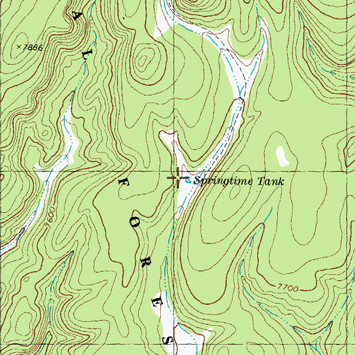 Topographic Map of Springtime Tank, NM