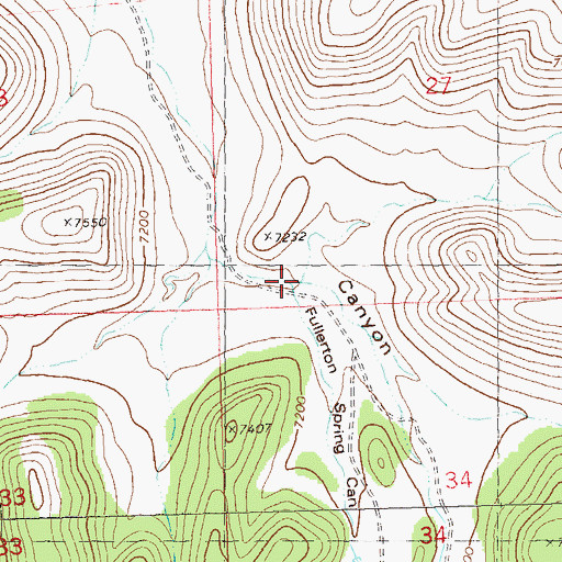 Topographic Map of Fullerton Spring Canyon, NM