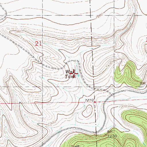 Topographic Map of Wall Tank, NM