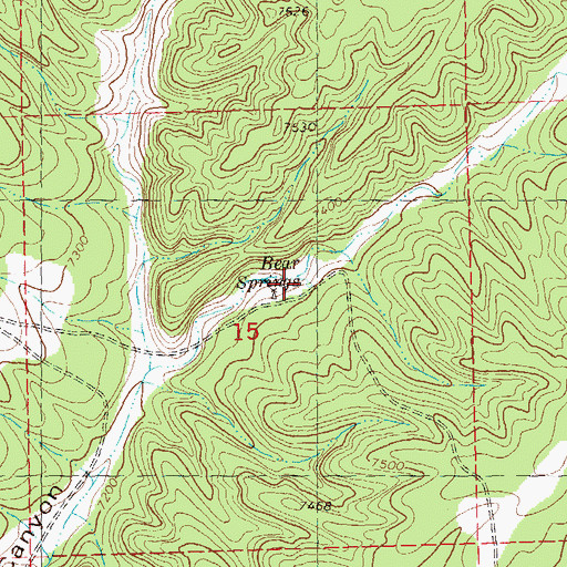 Topographic Map of Bear Springs, NM