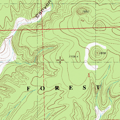 Topographic Map of Mesa Tank, NM