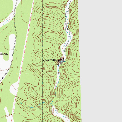 Topographic Map of Cottonwood Spring, NM
