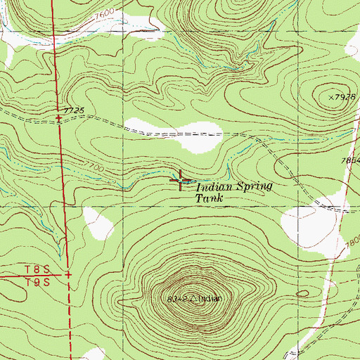 Topographic Map of Indian Spring Tank, NM
