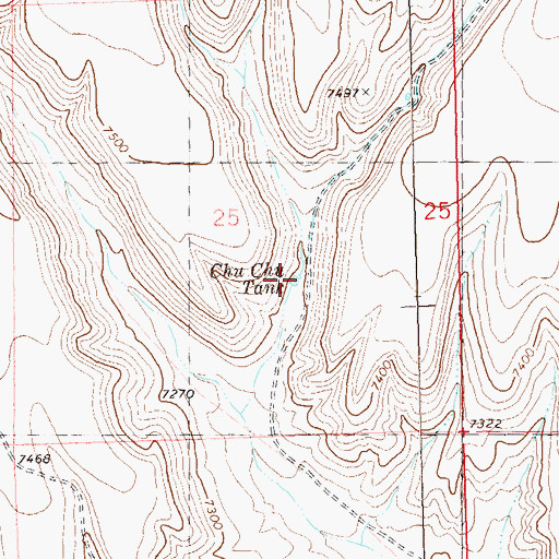 Topographic Map of Chu Chu Tank, NM