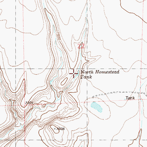 Topographic Map of North Homestead Tank, NM