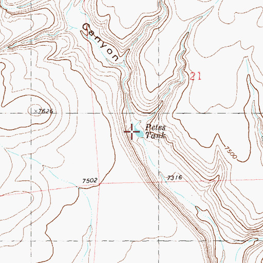 Topographic Map of Petes Tank, NM