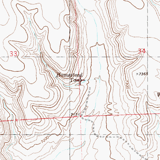 Topographic Map of Homestead Tank, NM