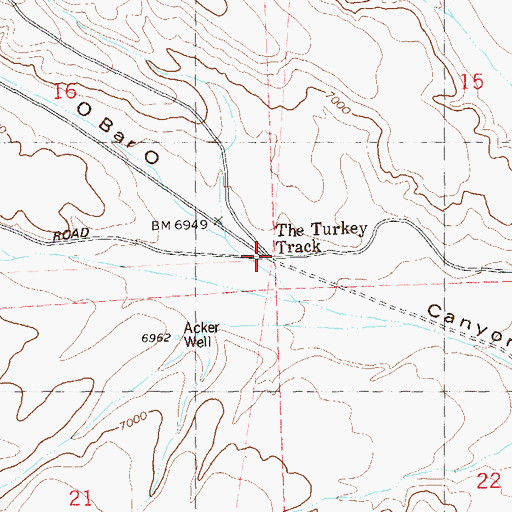 Topographic Map of The Turkey Track, NM
