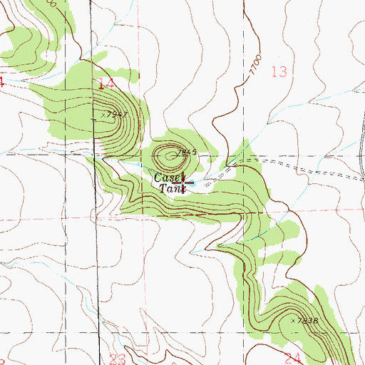 Topographic Map of Casey Tank, NM